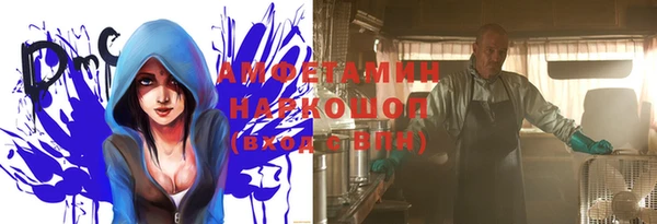 твердый Арсеньев