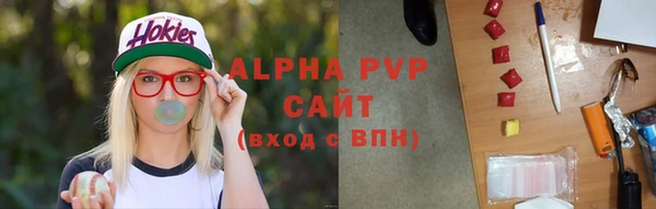 твердый Арсеньев
