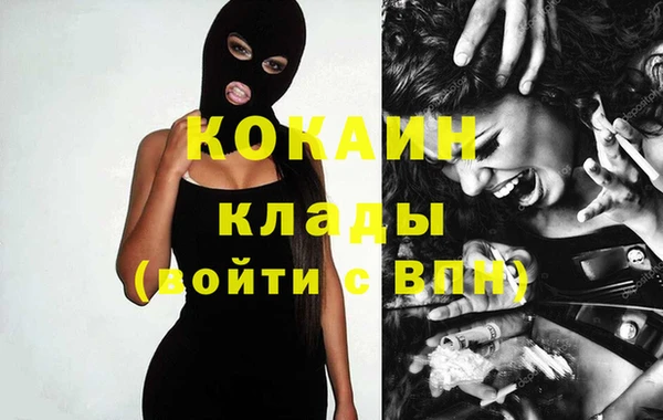 твердый Арсеньев