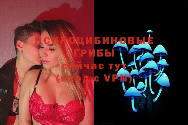 круглые Новодвинск