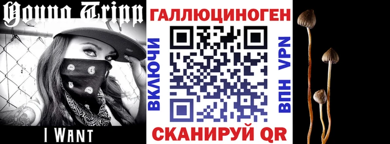 Галлюциногенные грибы мухоморы как найти наркотики Опочка
